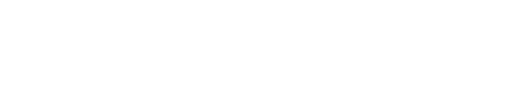 Novelingo